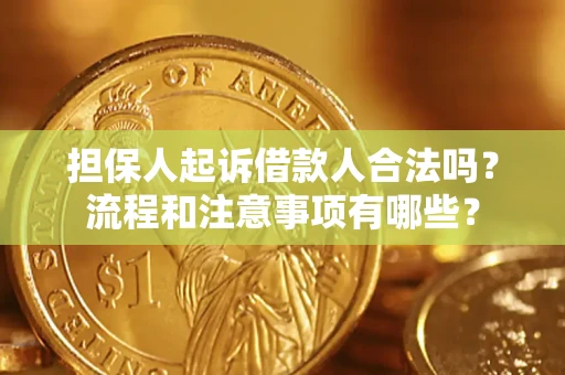 济南担保人起诉借款人合法吗？流程和注意事项有哪些？