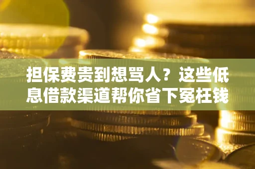 济南担保费贵到想骂人？这些低息借款渠道帮你省下冤枉钱