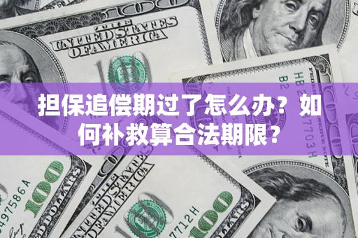 济南担保追偿期过了怎么办？如何补救算合法期限？