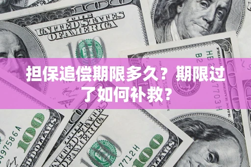 济南担保追偿期限多久？期限过了如何补救？