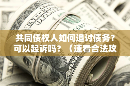 济南共同债权人如何追讨债务？可以起诉吗？（速看合法攻略）