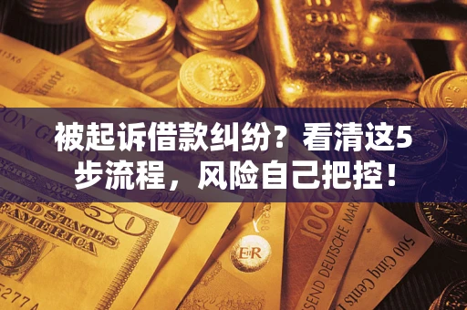 济南被起诉借款纠纷？看清这5步流程，风险自己把控！